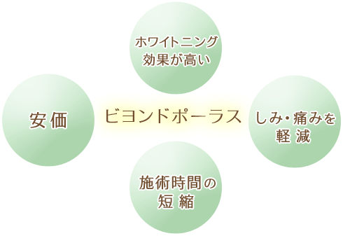 ビヨンドポーラス